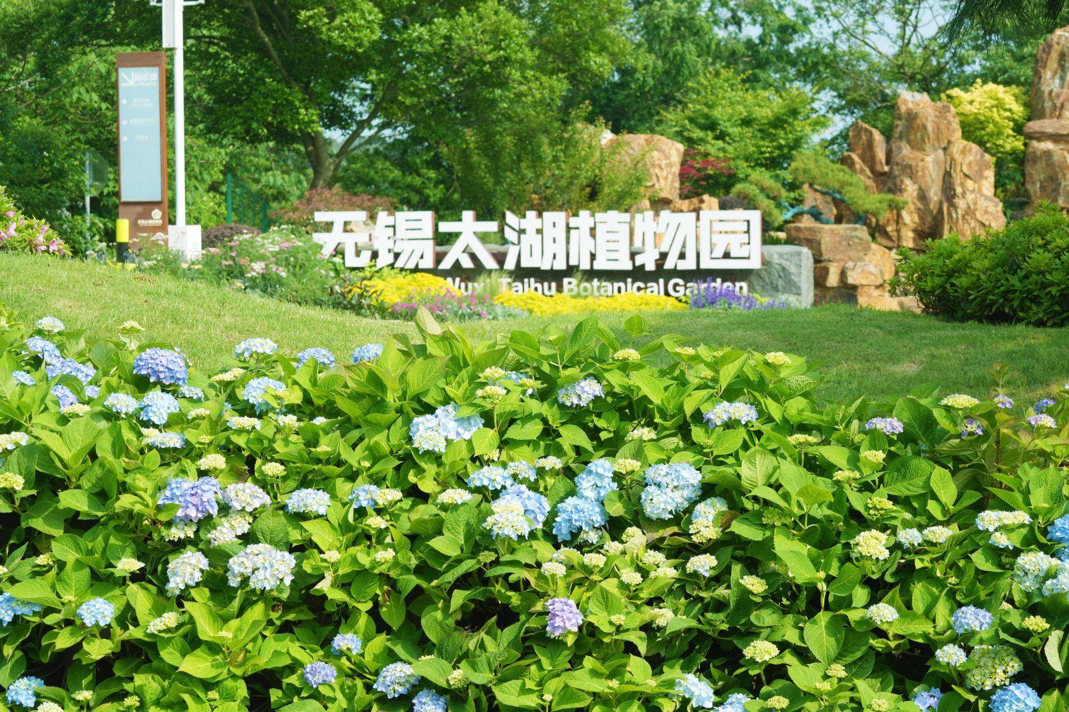 无锡太湖植物园