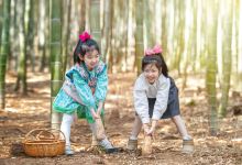 茅山森林世界景点图片