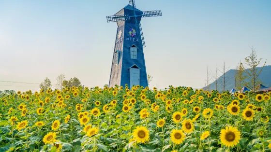 英山四季花海景區