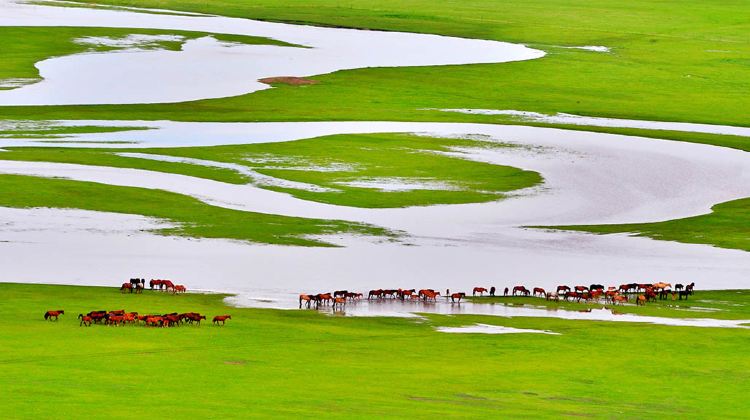 3-Day China + Inner Mongolia + Hulunbuir Grasslands + Moergle River Scenic Area + Ergun Wetland Park