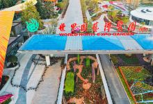 昆明世界园艺博览园景点图片