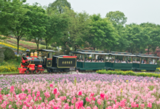 铜梁奇彩梦园景点图片