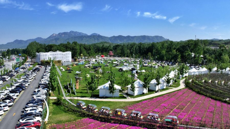 锦绣大明川(树桥公园)