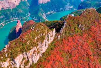 河南宝泉旅游区一日游【洛阳出发】【森林覆盖率高达98%，空气中充满负氧离子，随便走走都感到心旷神怡。】