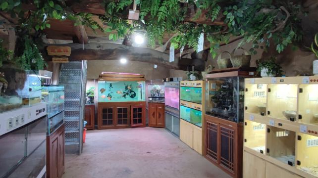 夜鸣蝉自然科普园