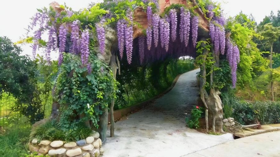 四川大英县绿山微湖乐园