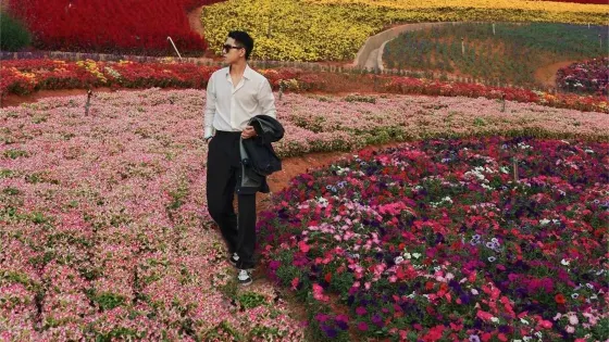 瑪琪雅朵花海