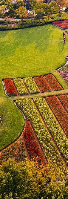宁波植物园-宁波