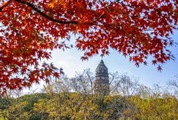 虎丘山风景名胜区半日游【深度讲解II 文化体验 】【专业向导精心讲解，】