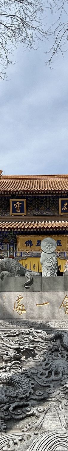 大兴善寺-西安