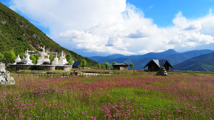 2D1N · Group Tours · Yunnan: Lijiang + Shangri-La + Meili Snow Mountains