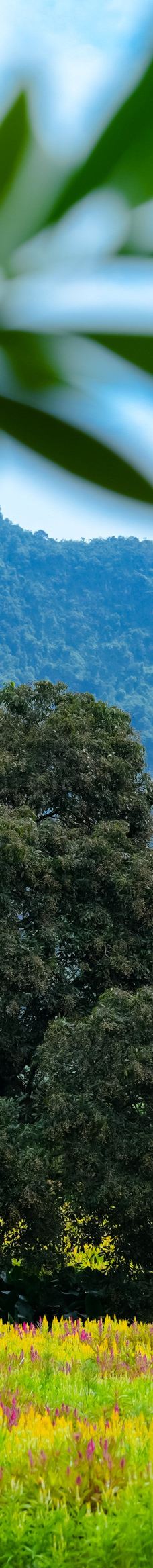 峒那屿湾景区-大新