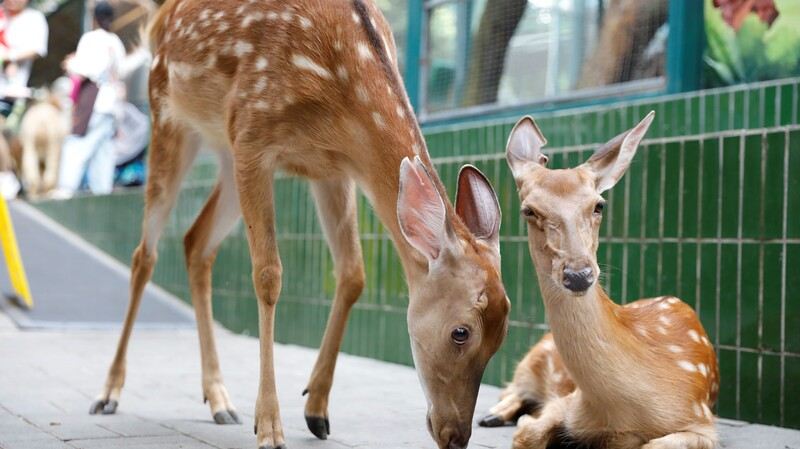 Gallery 2