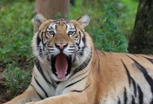 雄森旅游度假区景点图片