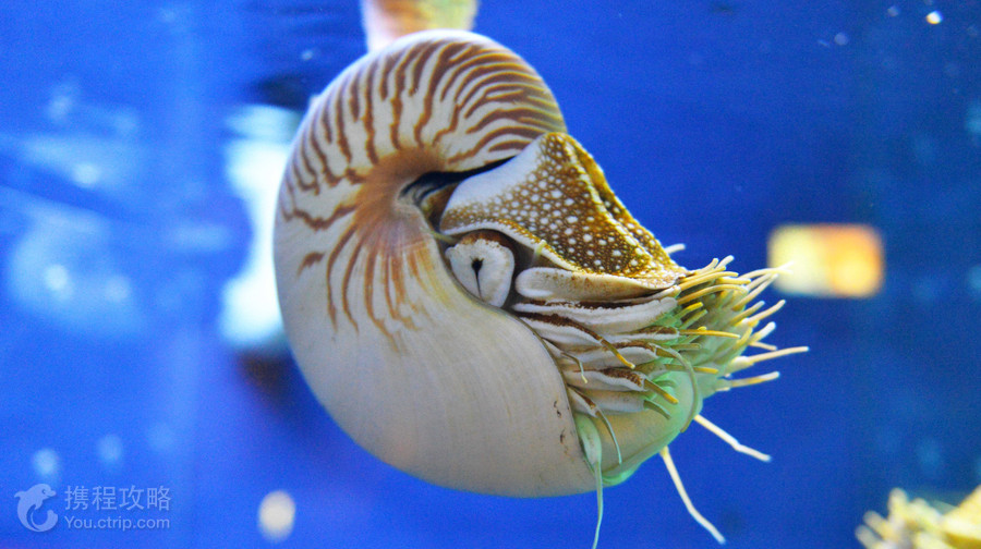 鳥羽水族館