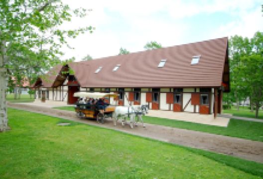 北国马场主题公园景点图片