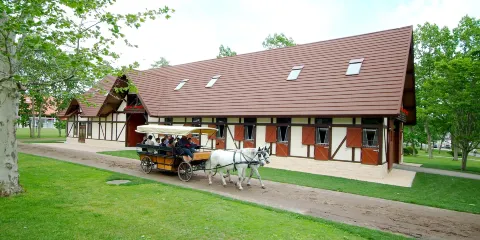 北國馬場主題公園