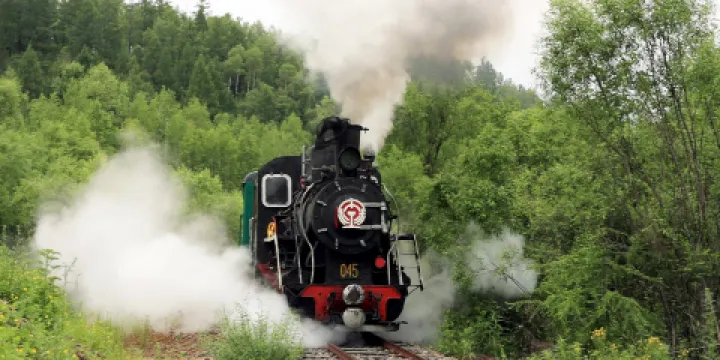 阿裡河國家森林公園