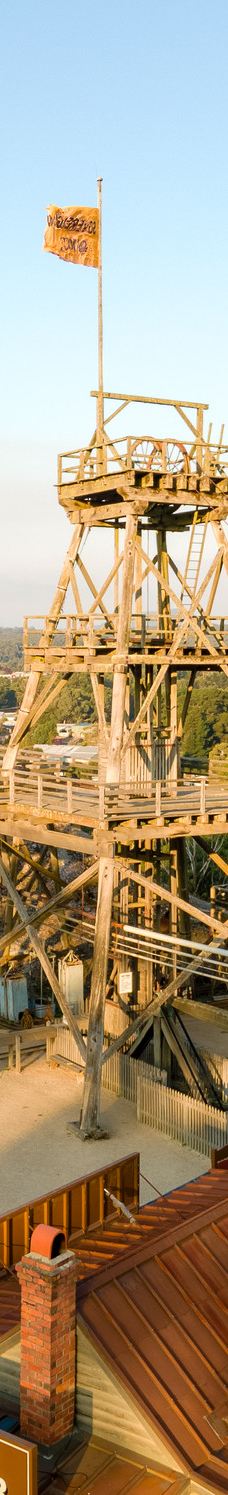 疏芬山-Golden Point