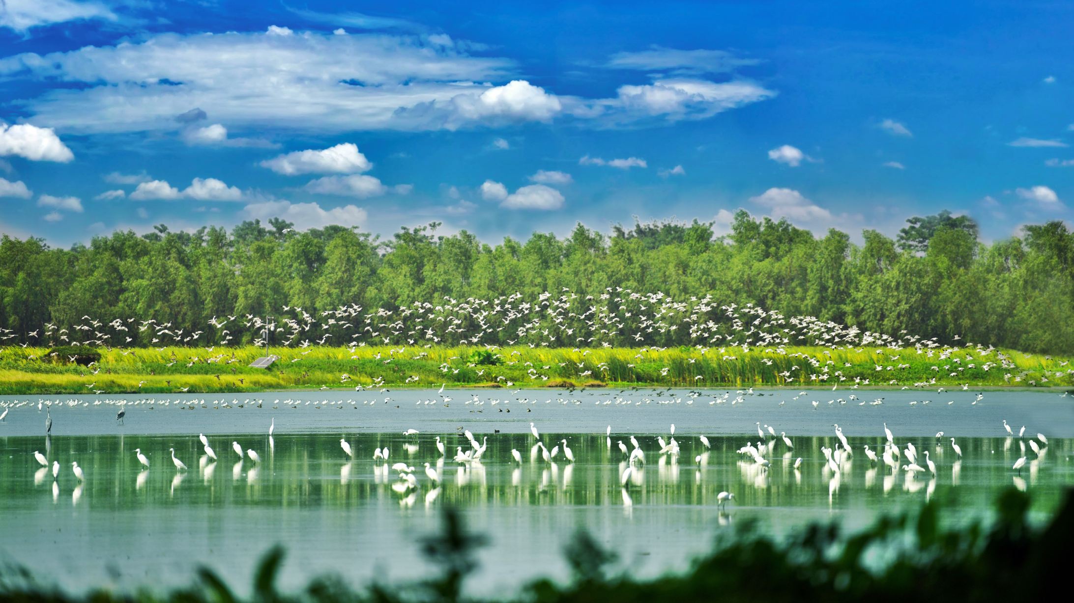 南沙湿地公园景点图片 13