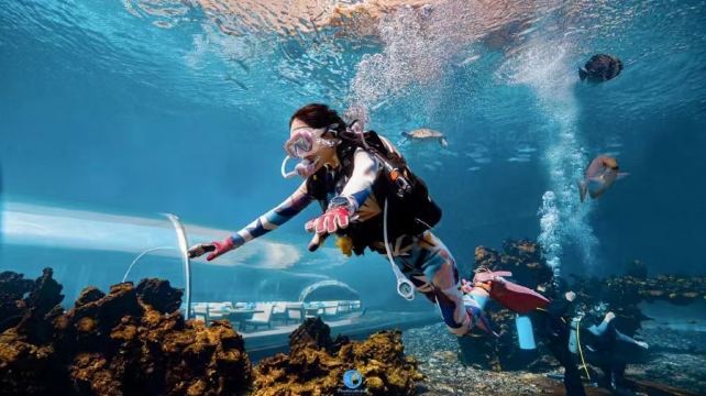 三亚特缔思潜水中心(天房洲际店)