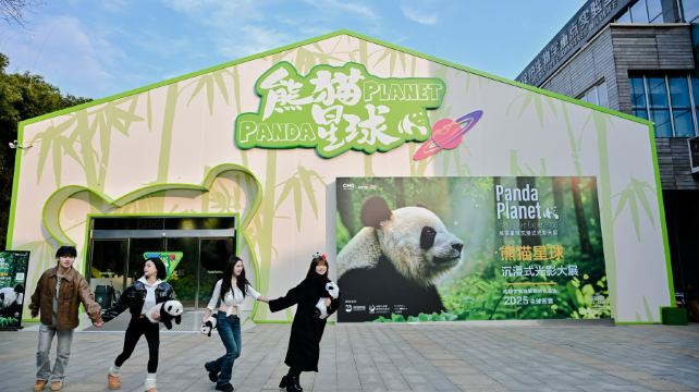 熊猫星球沉浸式光影大展-成都首馆