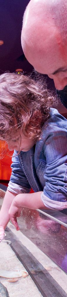 墨尔本水族馆-墨尔本