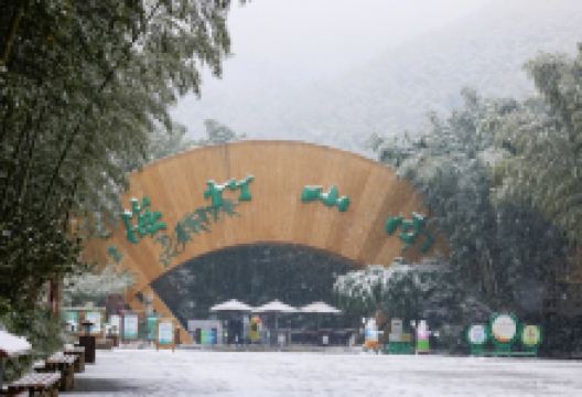 天目湖南山竹海景区景点图片