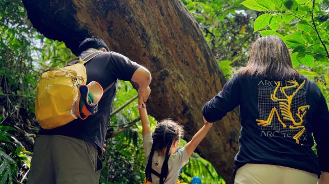 西双版纳基诺山雨林徒步