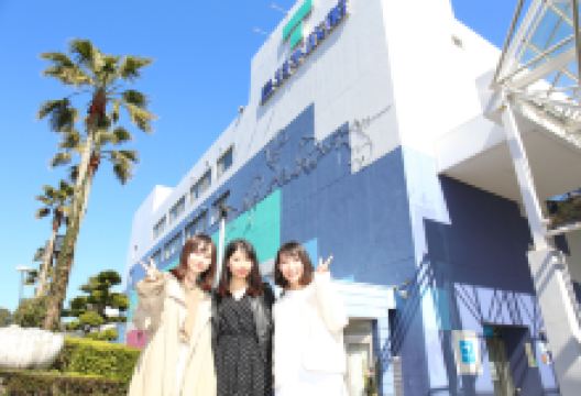 鸟羽水族馆景点图片