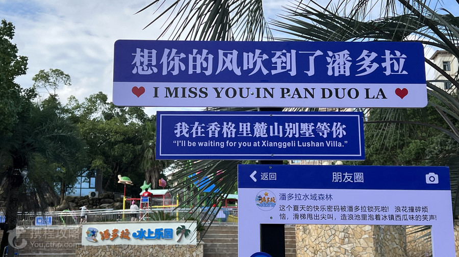 潘多拉·水域森林