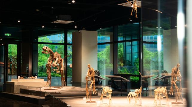 南京矿物文化艺术馆