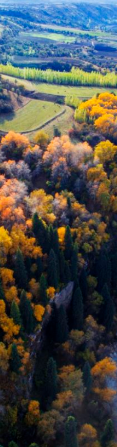 库尔德宁景区-巩留