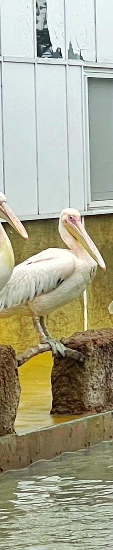 兰阳动植物王国-宜兰