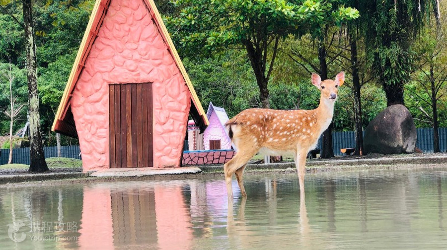 長埤湖精靈村