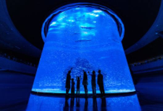 小梅沙海洋世界景点图片