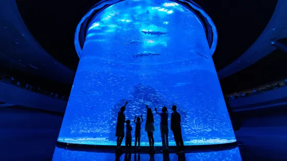 小梅沙海洋世界