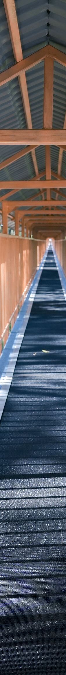 九龙瀑布群-罗平