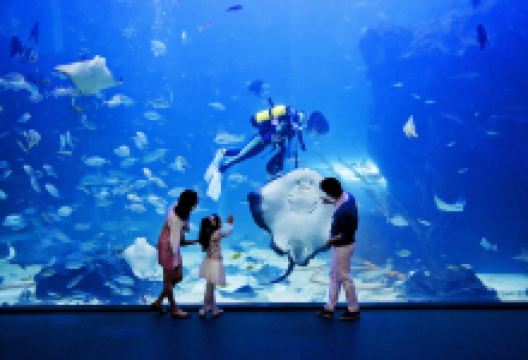 一山Aqua Planet水族馆景点图片