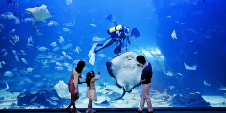 一山Aqua Planet水族館