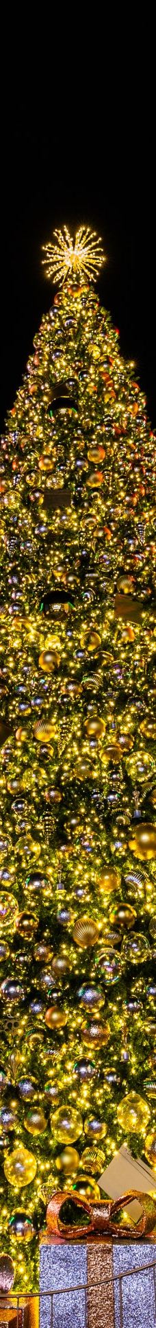 好莱坞环球影城-洛杉矶