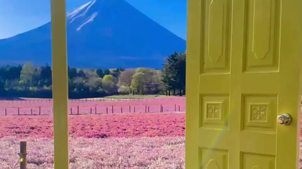 top-video