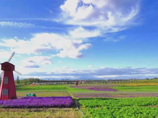 黄河麦野谷生态休闲旅游区