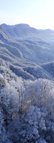 米仓山国家森林公园-南江