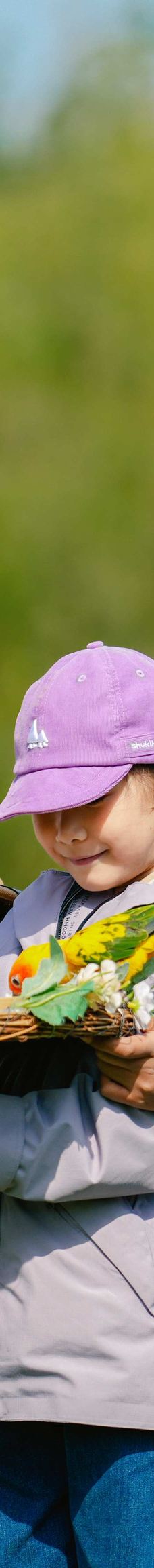 渔田七里海度假区-昌黎