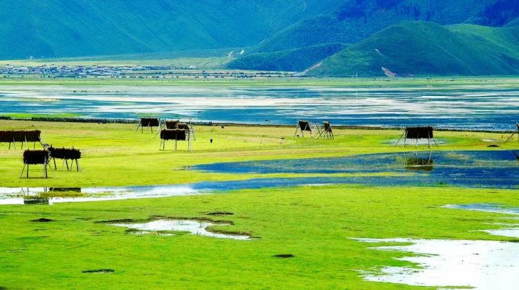 2D1N · Group Tours · Yunnan: Lijiang + Shangri-La + Meili Snow Mountains