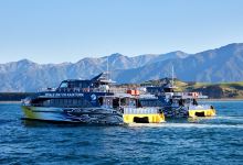 凯库拉观鲸游船景点图片