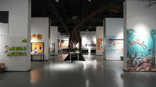 新琅琊恐龙展-《人与生物学》展学空间