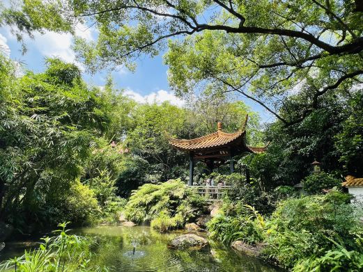 广州兰圃