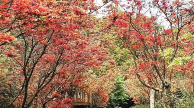 福田园休闲农场